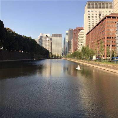 开元ky888vip手机app下载