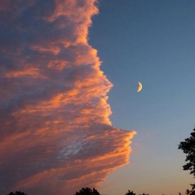 2023年香港资料精准app下载