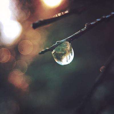 BOB体育综合官方平台APP