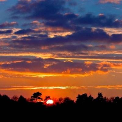 金星棋牌app下载